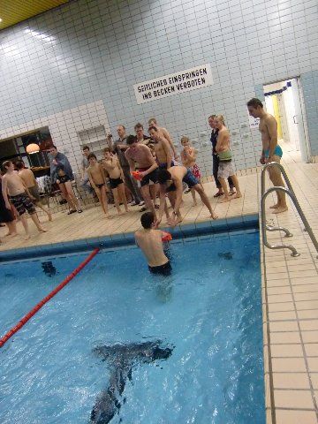 Schwimmwettkampf2010  010